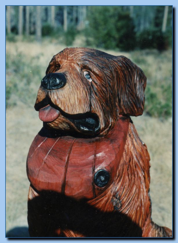 2-53 dog-st. bernard-archive-0005